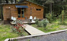 Chalet libellule